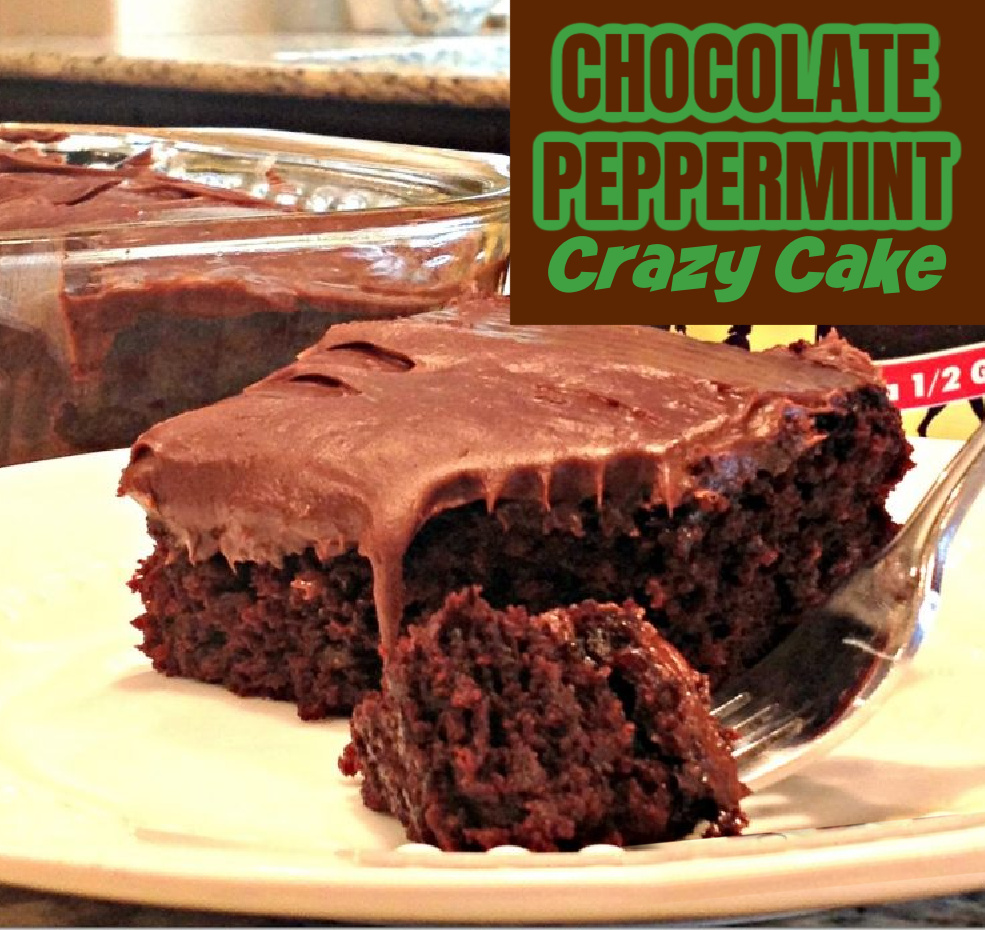 This is a photo of a piece of chocolate peppermint crazy cake on white plate.