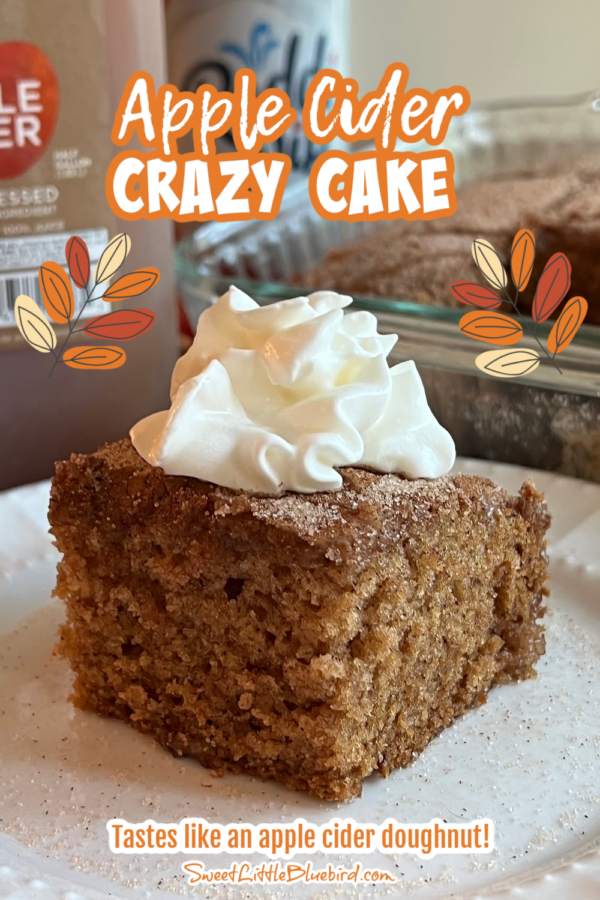 This photo shows a piece of apple cider crazy cake on a plate with a dollop of whipped cream.