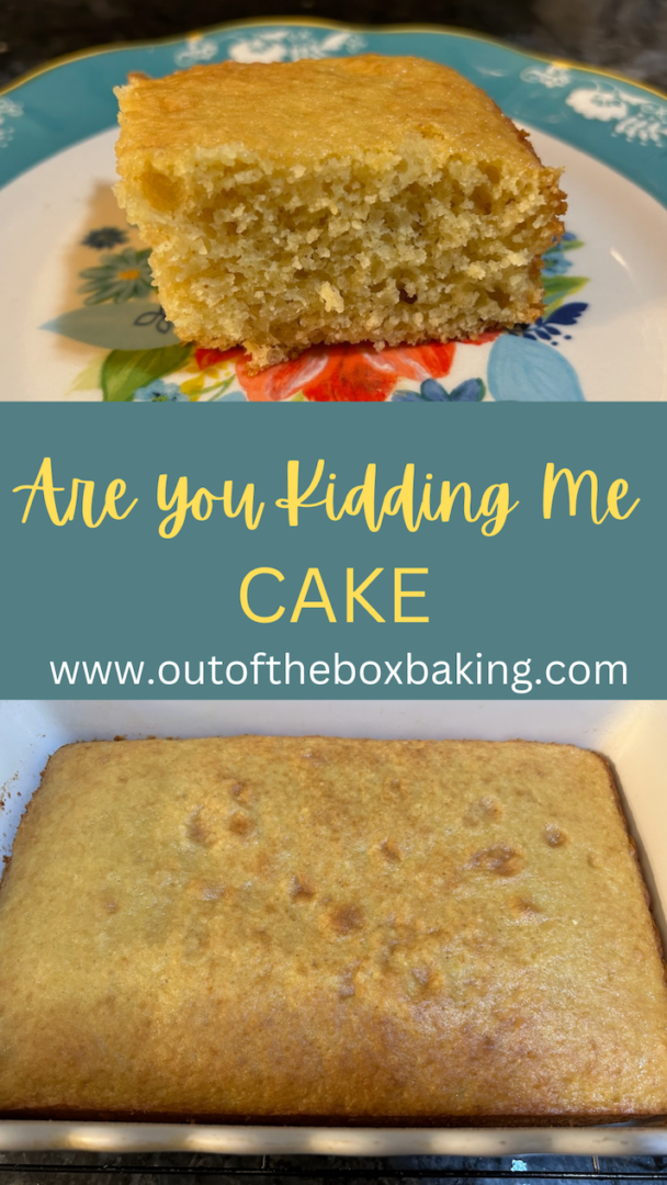 This is a two image collage showing a piece of  "Are You Kidding Me Cake" on a plate. And a photo of the cake in the baking pan.