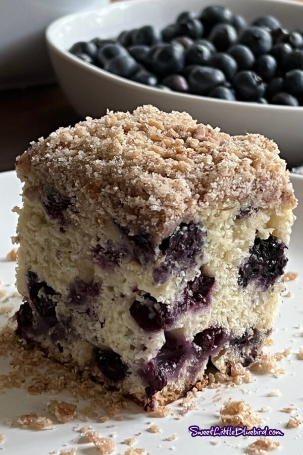 Piece of Blueberry Buckle Coffee Cake served on a white plate with a white bowl filled with blueberries behind it. 