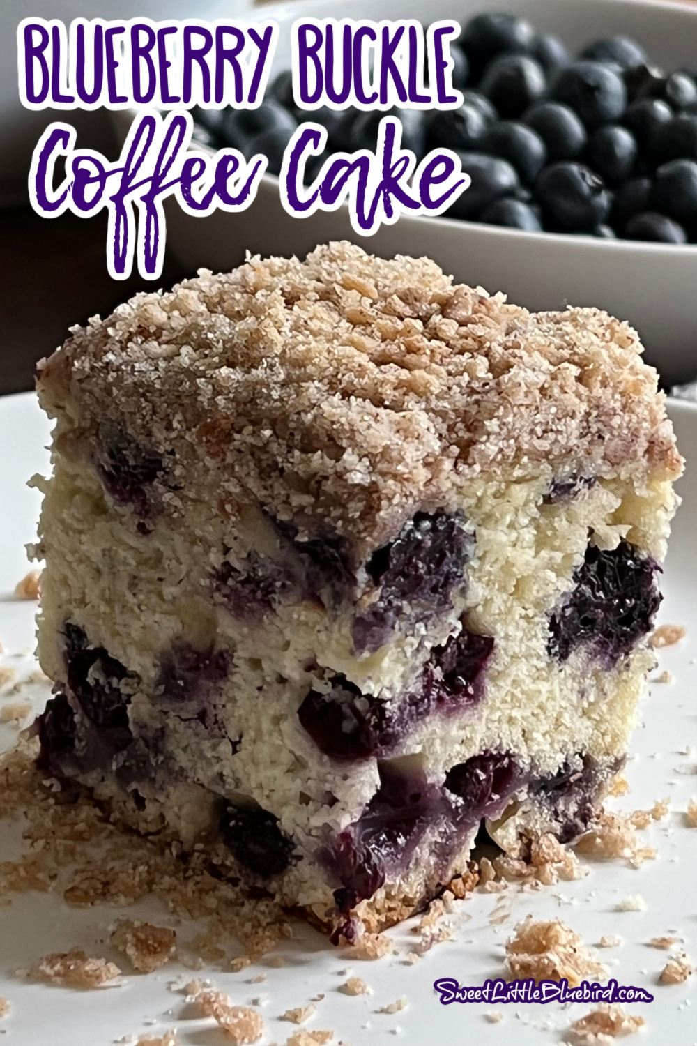 Photo of a piece of Blueberry Buckle Coffee Cake served on a white plate - by Sweet Little Bluebird.