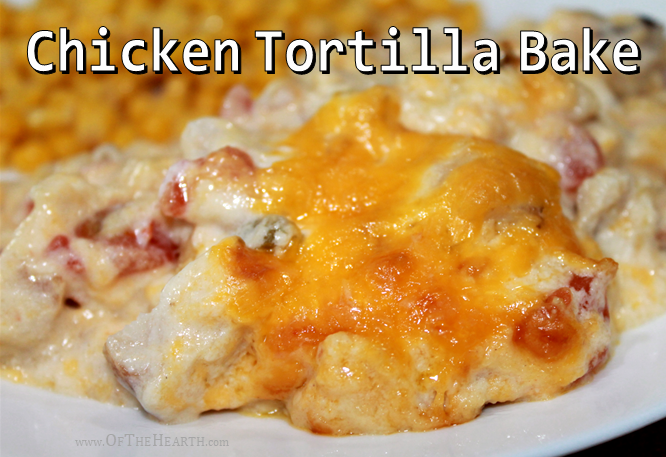This is a photo showing chicken tortilla bake served on a white plate. 