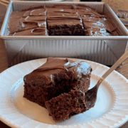 This image shows Chocolate Zucchini Crazy Wacky Cake.