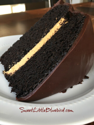 Chocolate Pumpkin Cake - Chocolate Cake with Pumpkin Cream Filling