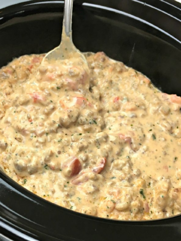 This photo shows the dip served in a crock pot.