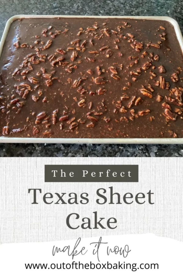 Photo of Texas Sheet Cake in a baking pan by Out Of The Box Baking