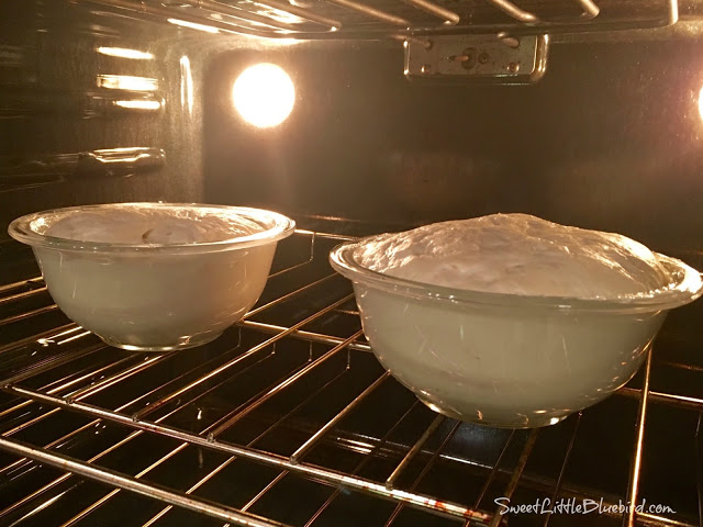 This photo shows 2 bowls filled with the bread dough in the oven, ready to bake. 