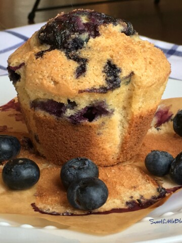 PERFECT BLUEBERRY MUFFINS - Blueberry Sour Cream Muffins - Sweet Little Bluebird