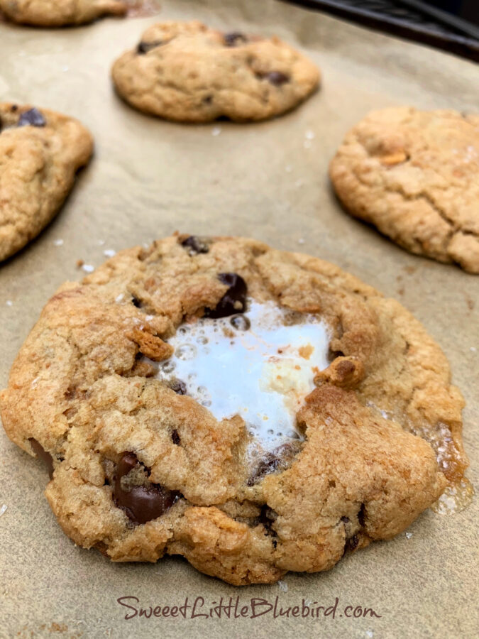 S'mores Cookies 
