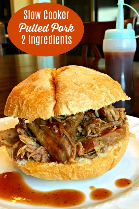 Easy Slow Cooker Pulled Pork (2 Ingredients) Sweet Little Bluebird