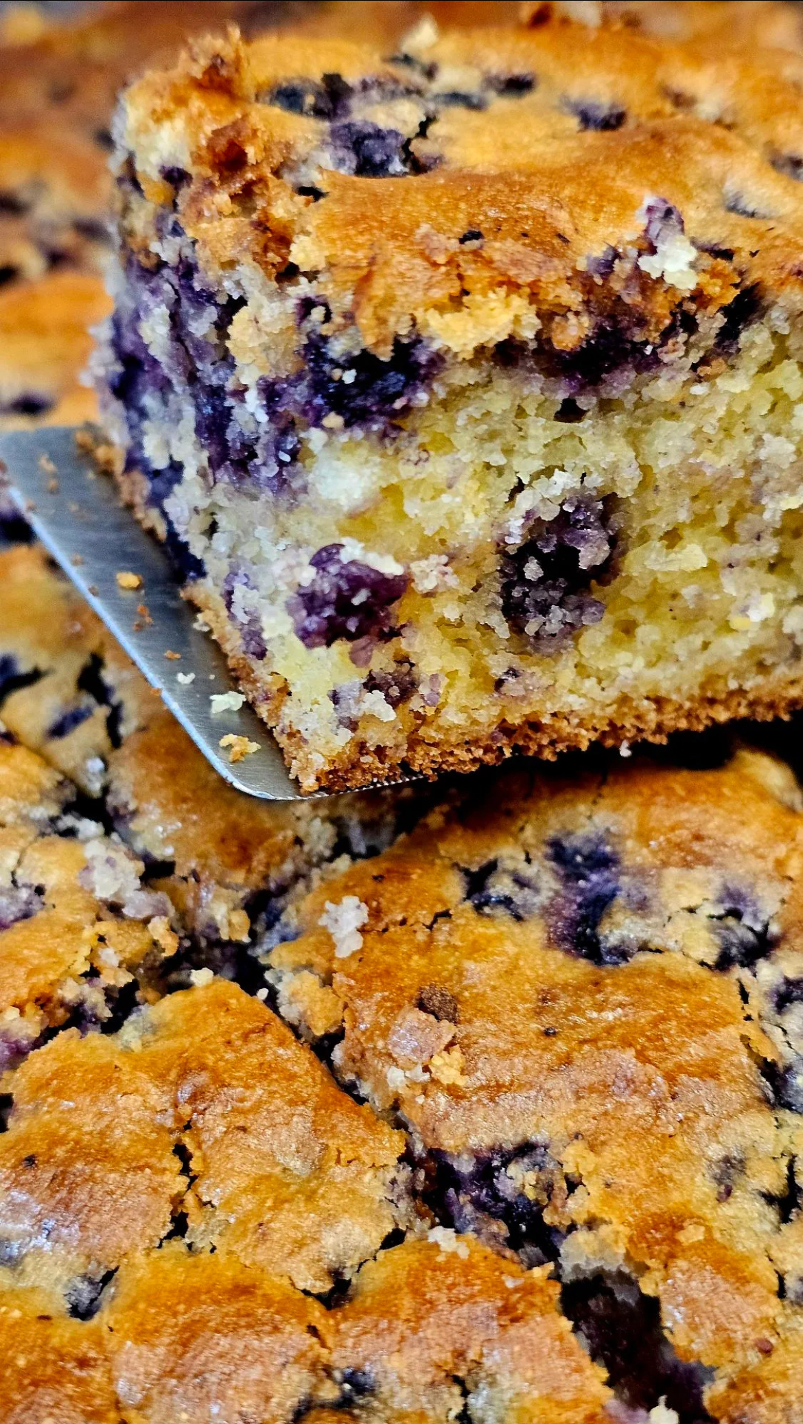 Lemon Blueberry Corn Squares Close up photo of Lemon Blueberry Corn Squares cut into squares. One is on a spatula, ready to serve.