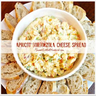 Apricot Gorgonzola Cheese, served in a bowl with fresh sliced baguette around it on a plate.