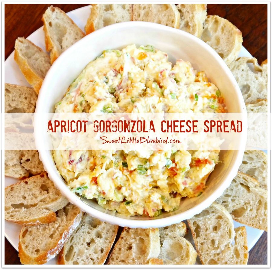 Apricot Gorgonzola Cheese, served in a bowl with fresh sliced baguette around it on a plate. 