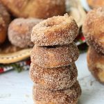 Baked Apple Cider Doughnuts – Weekend Potluck 292