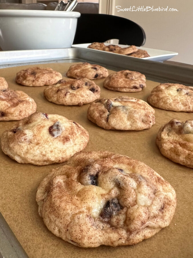 Photo of 1 dozen cookies baked on cookie sheet.